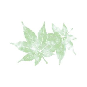ヤマコー 用美 業務用 尺3四季彩まっと この葉型抜き 青もみじ (50枚入) yamaco66779