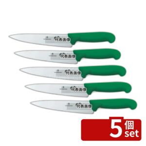 【5個セット】ビクトリノックス マルチカラー シェフナイフ (牛刀) GN 5.2004.19GB 19cm 315 庖丁 No.6921710
