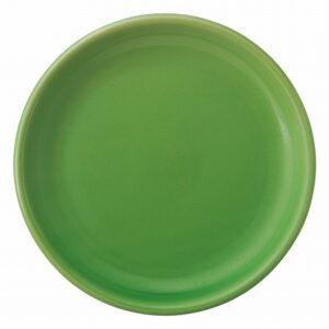 カントリーサイド ジェイド 23cmミート皿 11170004 KOYO HOTEL&RESTAURANT TABLEWARE vol.25