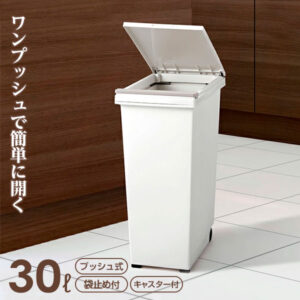 ごみ箱 エバン プッシュペール 30L ホワイト ｜ ゴミ箱 ダストボックス プッシュ式 丸型 室内用 白 おしゃれ 30リットル