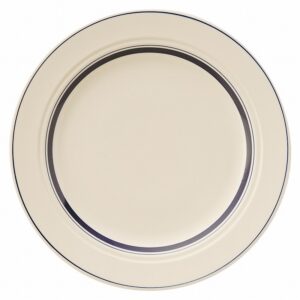 カントリーサイド ネイビーブルー 27cmディナー皿 13428002 KOYO HOTEL&RESTAURANT TABLEWARE vol.25
