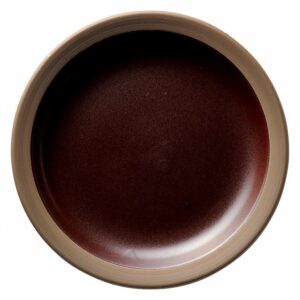 ハーベスト カカオブラウン 27．5cmディナー皿 16162002 KOYO HOTEL&RESTAURANT TABLEWARE vol.25