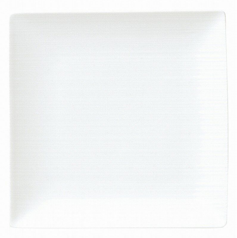 イマージュ 19.5cmスクエアープレート 18300064 KOYO HOTEL&RESTAURANT TABLEWARE vol.25