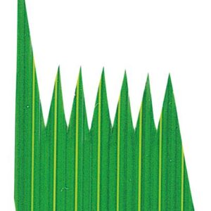 【送料無料】生バラン 豆 2000枚入 7865800