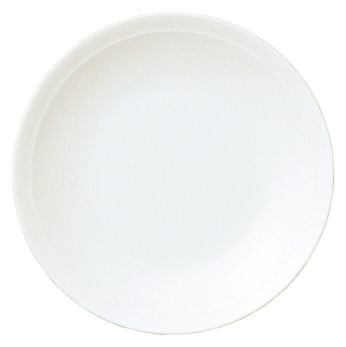 白翔 リム21cm皿 50500005 KOYO 花伝 JAPANESE TABLEWARE vol.12