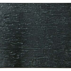 漆黒 28cm平長角皿 53831002 KOYO 花伝 JAPANESE TABLEWARE vol.12