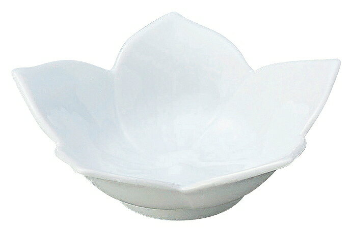 桔梗 白 浅鉢 小 56300002 KOYO 花伝 JAPANESE TABLEWARE vol.12