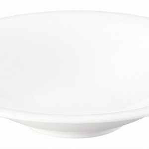 白虎 26cm浅鉢 56900011 KOYO 花伝 JAPANESE TABLEWARE vol.12