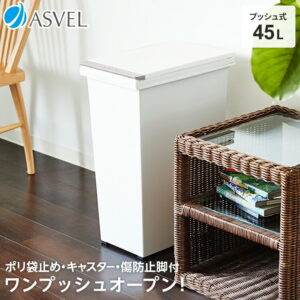 ゴミ箱 分別 スリム おしゃれ キッチン ふた付き プッシュ 縦型 45リットル 45l ダストボックス おしゃれ リビング ごみ箱 新生活 【 アスベル エバン ASVEL EBAN エバン プッシュ スリム 45L 】