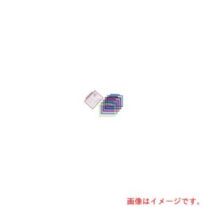 遠藤商事（TKG）　プラビック　メニューパネル　青　【品番：PPN135】