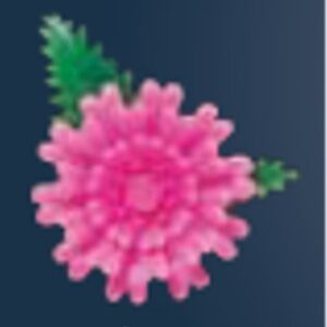 使い捨て プリティフラワー ミニ菊 ピンク/プロ用/新品 /小物送料対象商品