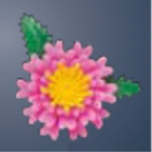使い捨て プリティフラワー ミニ菊 ピンク・ツートーン/プロ用/新品 /小物送料対象商品