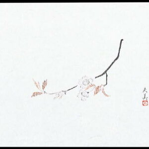 【ポイント20倍】四季紙 萬寿(100枚入)M33-109 桜【日本製】 EBM vol.26[1860-15]料理用演出用品