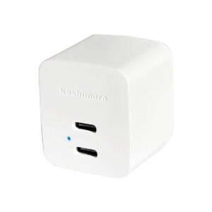 AC Type-C 2P 12W WH