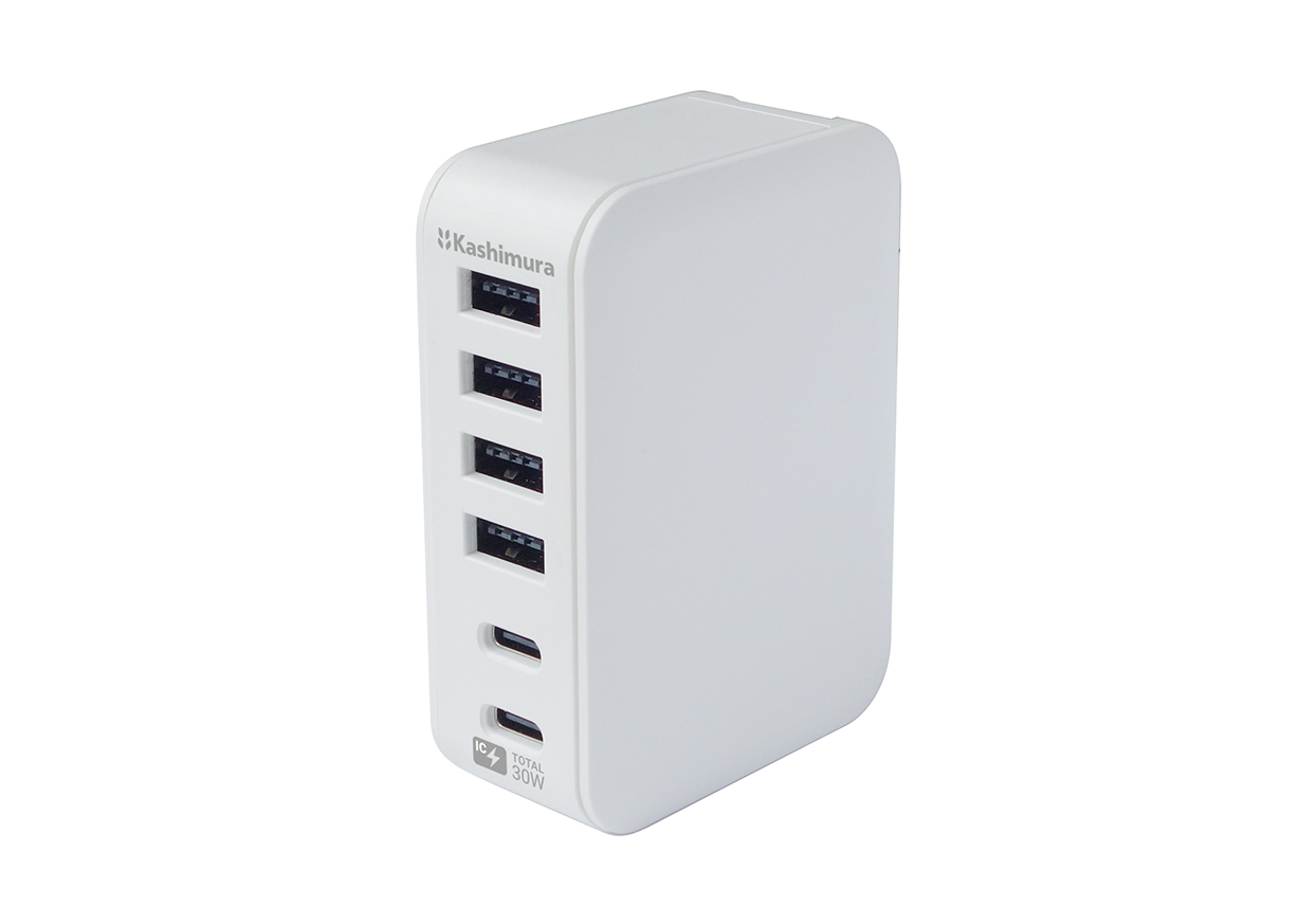 AC USBA4+C2 6A 自動識別 リバーシブル