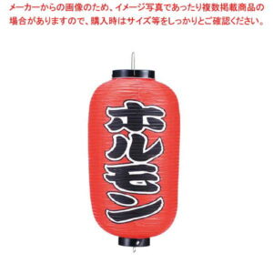【まとめ買い10個セット品】 ビニール提灯 241 ホルモン 9号長