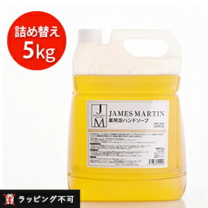 ジェームズマーティン 薬用ハンドソープ詰め替え用5kg(注ぎ口別売)30091