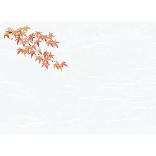 尺3雲竜和紙懐石まっと 花彩(はなさい) 赤もみじ (100枚入)/業務用/新品/小物送料対象商品