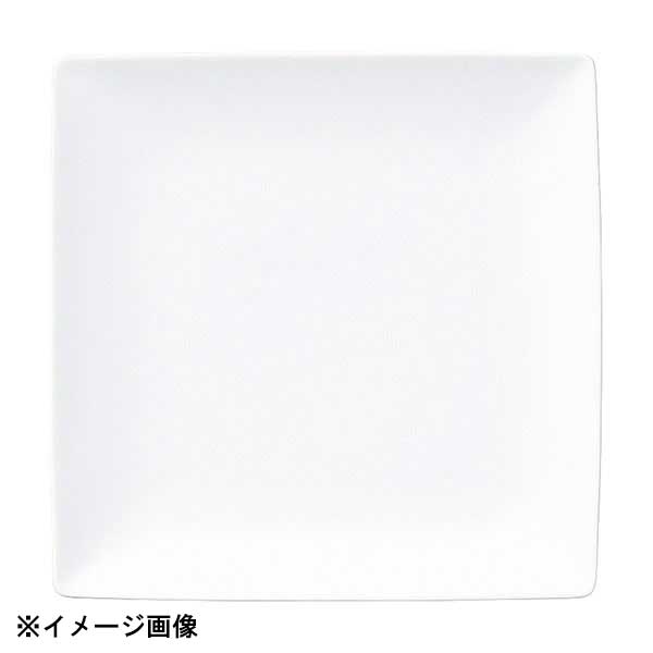 花伝 白翔 16.5cm正角皿 50400068