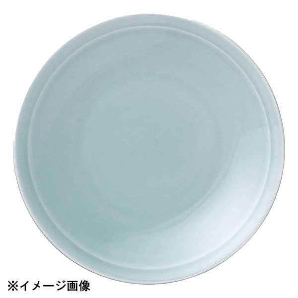 花伝 青彩 リム9.0皿 50580001