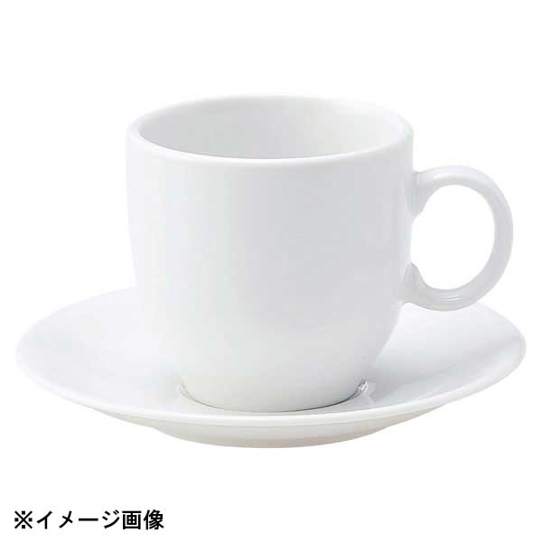 花伝 ポポラーレ アメリカンカップ 50800051