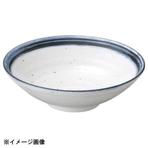 花伝 なごり雪 8.5冷麺鉢 51228023