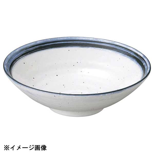 花伝 なごり雪 7.5冷麺鉢 51228025
