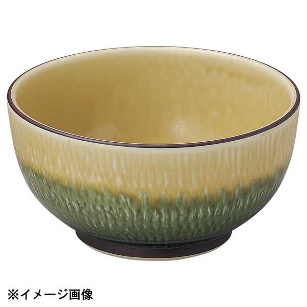 花伝 水明かり 織部 5.5多用丼 51267031