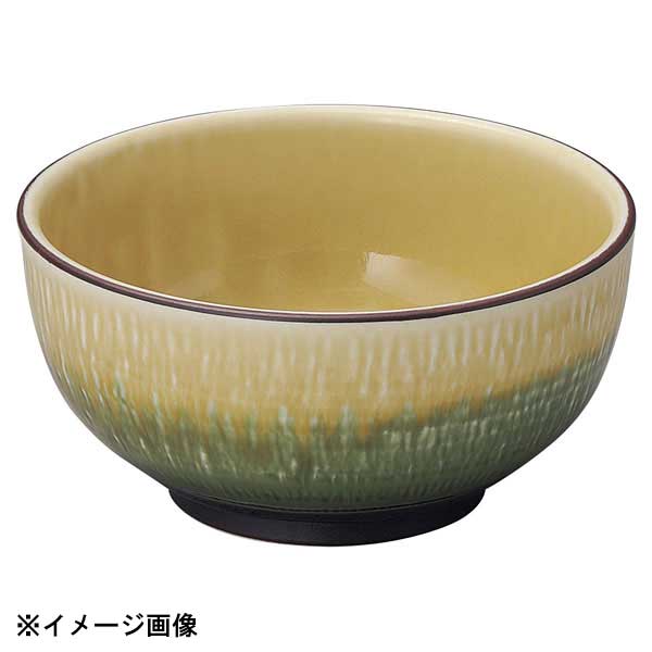 花伝 水明かり 織部 4.8多用丼 51267032
