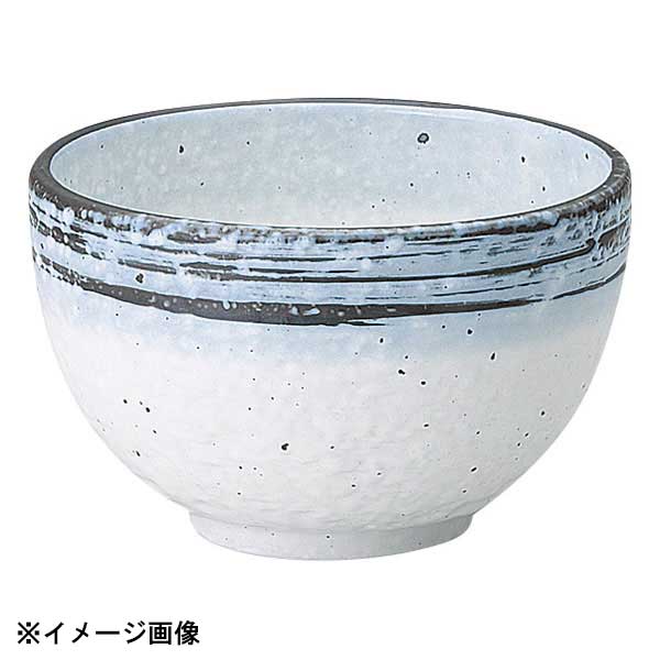 花伝 なごり雪 石目深口5.0丼 51528045