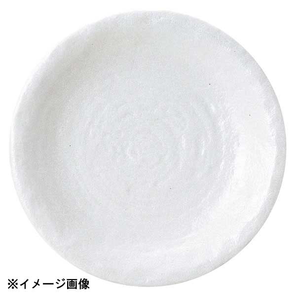 花伝 ゆず白陽 石目9.0皿 51529004