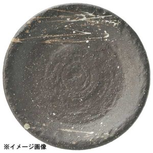 花伝 吹雪 石目8.0皿 51532006