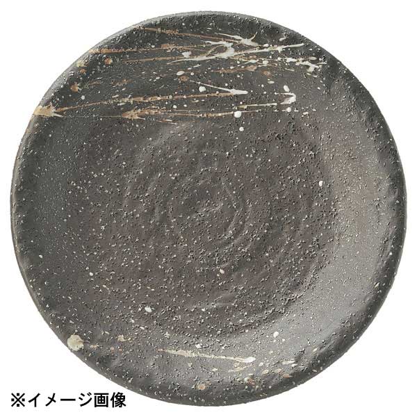 花伝 吹雪 石目4.5皿 51532014
