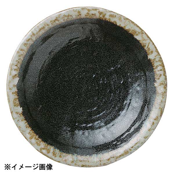 花伝 おぼろ夜 石目9.0皿 51598004