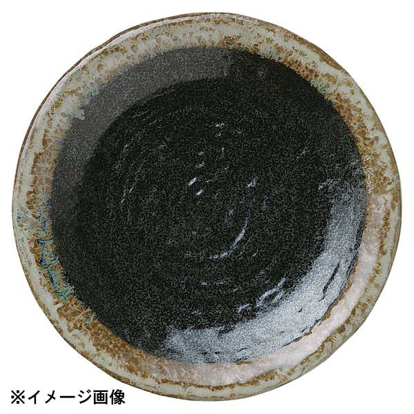 花伝 おぼろ夜 石目8.0皿 51598006