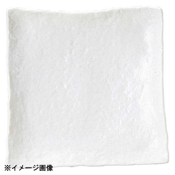花伝 ゆず白陽 石目9.0正角皿 51629060