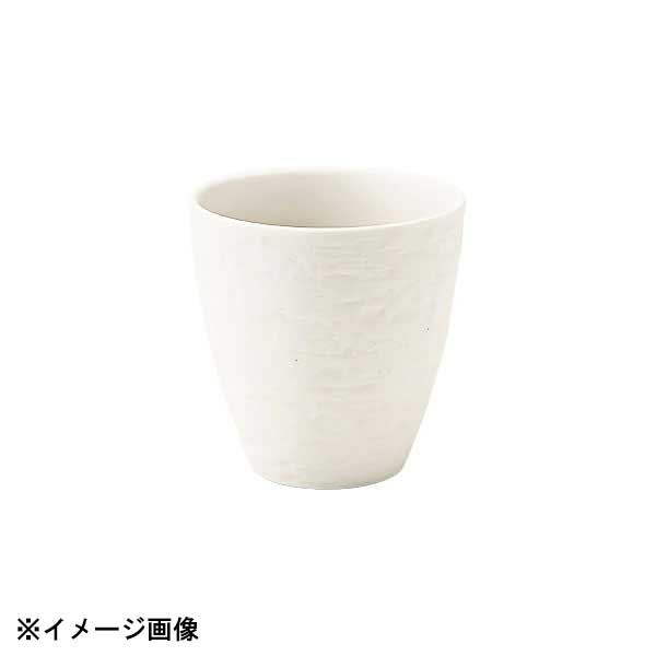 花伝 白涼 湯呑 53800021