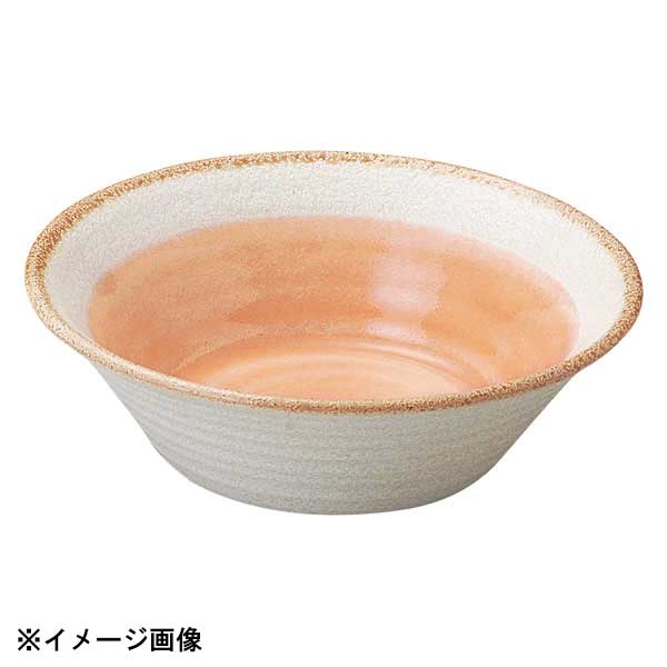 花伝 ローゼ 5.5鉢 54526057