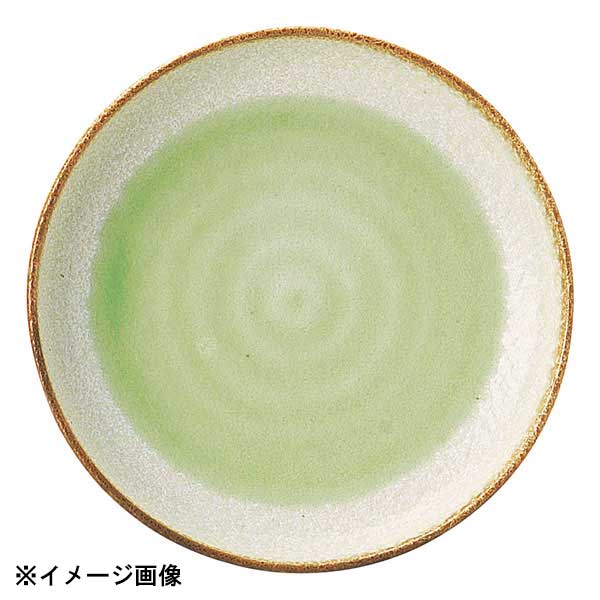 花伝 若草 4.0和皿 54527013