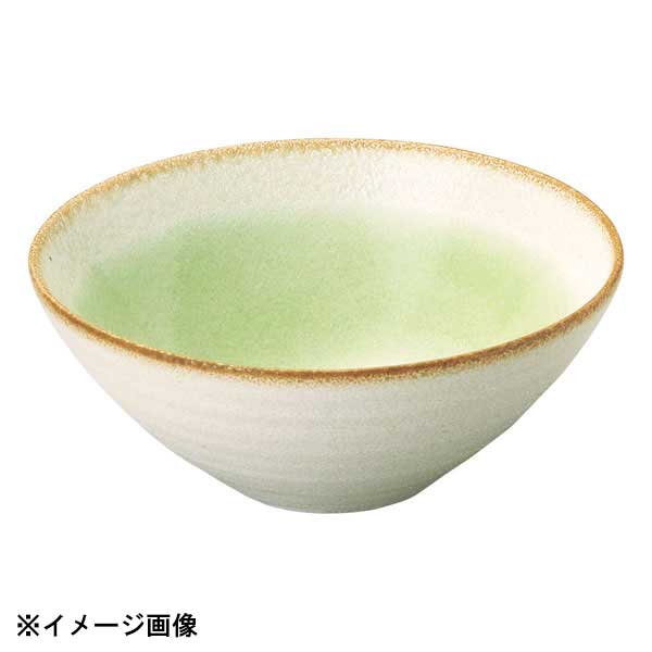 花伝 若草 6.0盛鉢 54527044