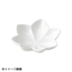 花伝 紅葉 白 浅鉢 56300081