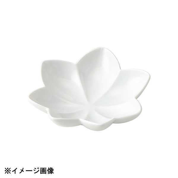 花伝 紅葉 白 浅鉢 56300081
