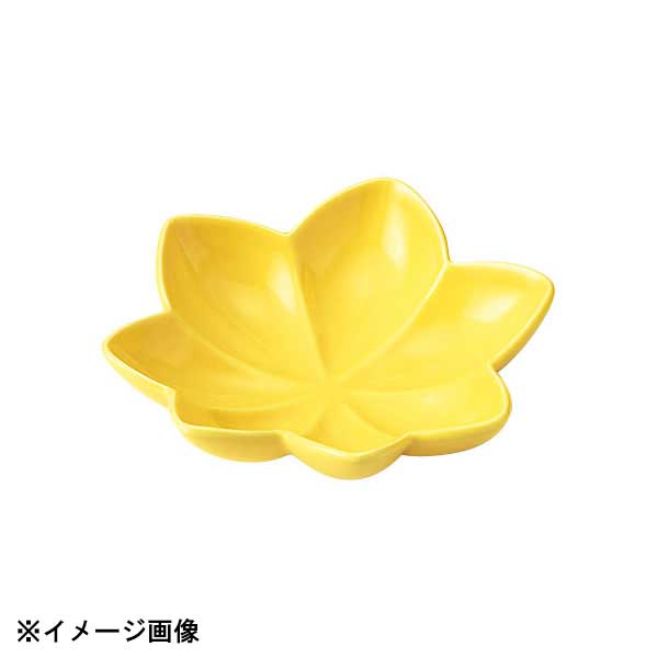 花伝 紅葉 黄 浅鉢 56360081