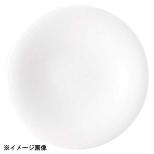 花伝 白虎 5.0皿 56900008