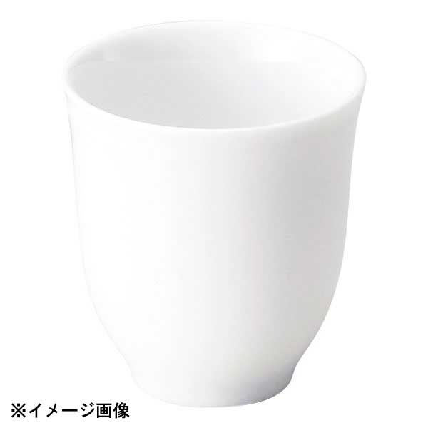 花伝 白虎 湯呑 56900071