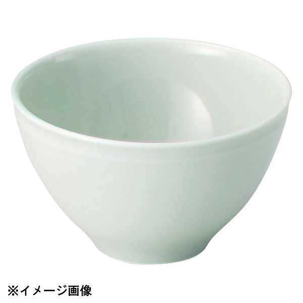 花伝 重萌 4.2多用丼 56971032