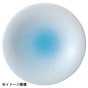 花伝 青流 7.5皿 56981003