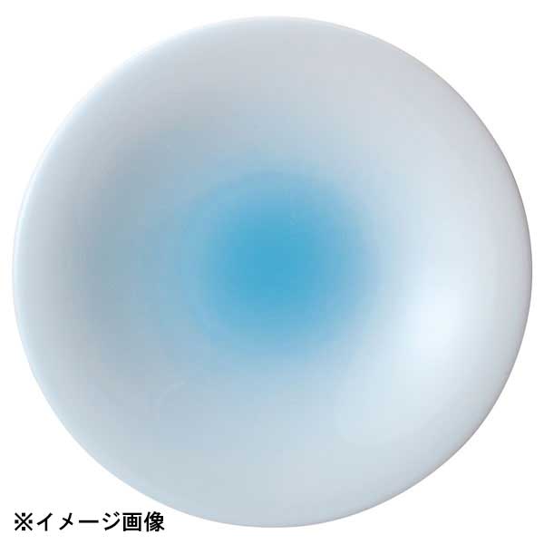 花伝 青流 7.5皿 56981003