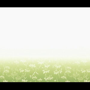 尺3まっと華かすみ(100枚入)　竹笹　SAK-03【メイチョー】
