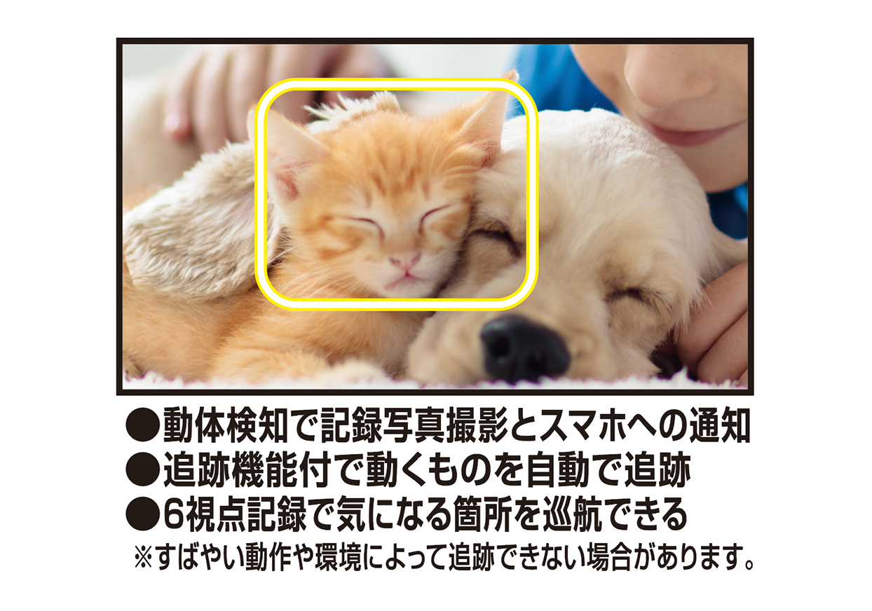 スマートカメラ リモコン/温湿度/首振-巡航 - 画像 (9)